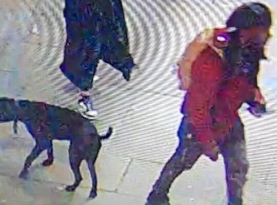 CCTV Appeal After London Stabbing Over Dog Poo Argument