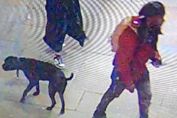 CCTV Appeal After London Stabbing Over Dog Poo Argument