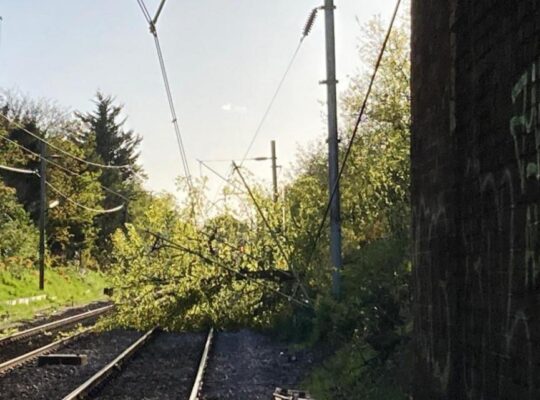 C2C Line Affected By Cancellation After Tree Damage