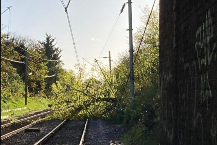 C2C Line Affected By Cancellation After Tree Damage