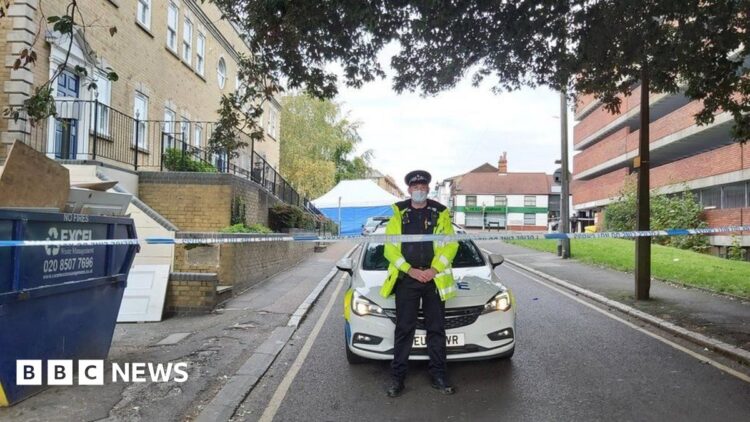 Brentwood Murder Investigation: Woman denies killing her son as community reels from shock