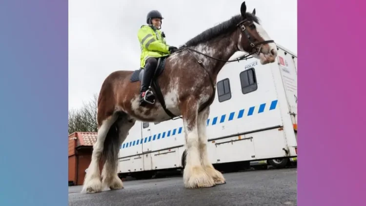 After 26 Years Mounted Police Saddle Up Again to Strengthen Community Presence