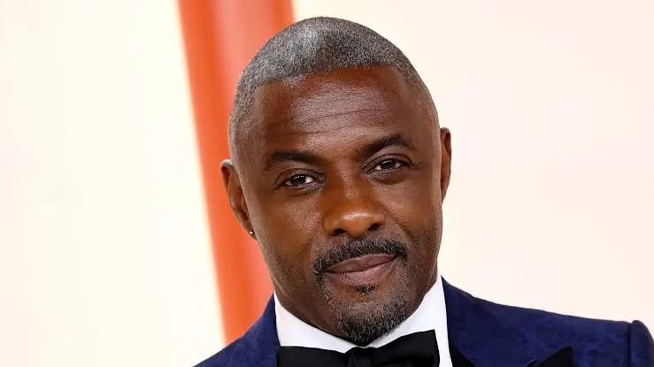 Actor Idris Elba and community leaders recognised in new years honours list