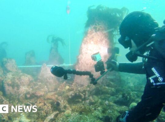 Prehistoric Engineering Beneath the Waves: Ancient Undersea Wall Found Off France