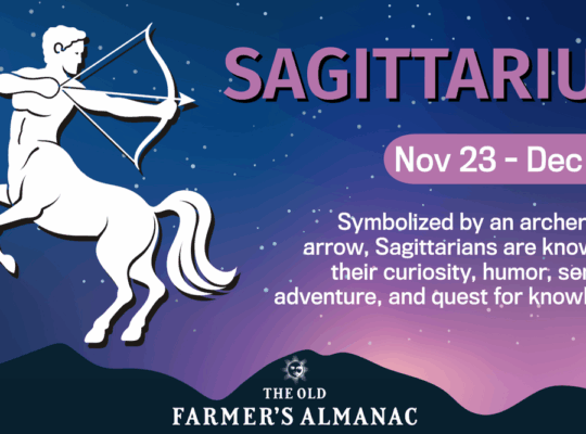 The reality of flawed star sign application for children born in December