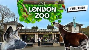 London Zoo celebrates bicentenary with annual stocktake