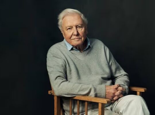 Sir David Attenborough’s 100th Birthday To Be Celebrated With Three New Shows