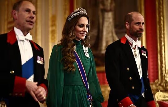 Silk, Symbolism, and Statecraft: How the Princess of Wales Turned a Banquet Gown into a Diplomatic Signa