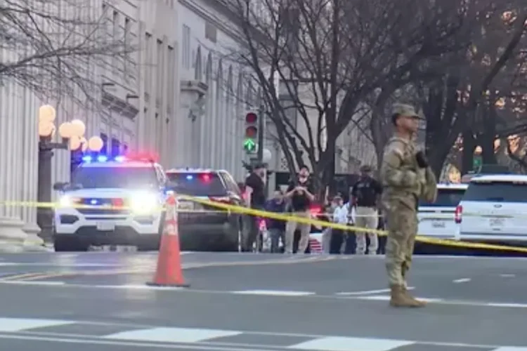 Van Through the Gates: White House Crash Prompts Sweeping Lockdown in U.S. Capital
