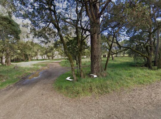 Remote Campground Dispute Turns Fatal At Little Styx River