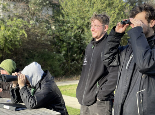 How Birdwatching Reshapes the Brain and Defies Ageing