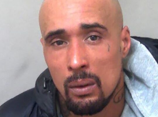 Aspiring Rapper Jailed For 10 Years For Owning XL Bully Dogs That Mauled Pensioner