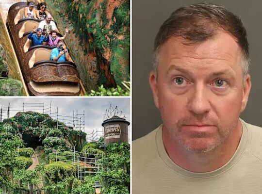 Flight Attendant Arrested After Disney World Line Dispute Turns physical And Viral Case Sparks Outrage