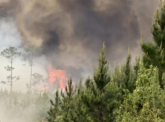 Georgia Wildfires Slow After Rain but New Fires Continue to Ignite