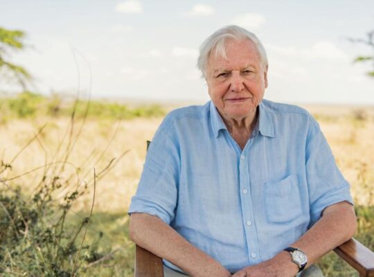 Special live BBC event to celebrate Sir David Attenborough’s 100th birthday