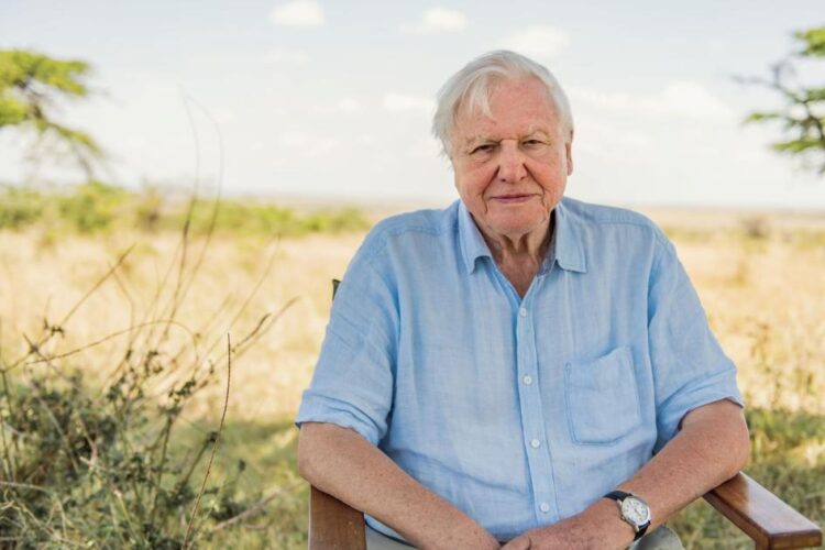 Special live BBC event to celebrate Sir David Attenborough’s 100th birthday