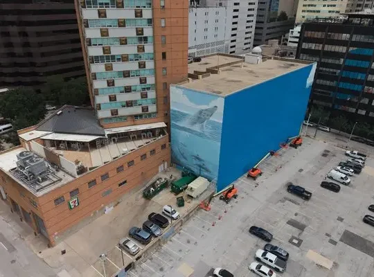 FIFA World Cup Mural Dispute in Dallas Sparks $25M Lawsuit Over Destroyed Whale Artwork