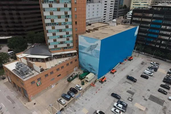 FIFA World Cup Mural Dispute in Dallas Sparks $25M Lawsuit Over Destroyed Whale Artwork