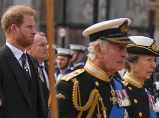 King Meets grandchildren Archie and Lilibet for first time in four years