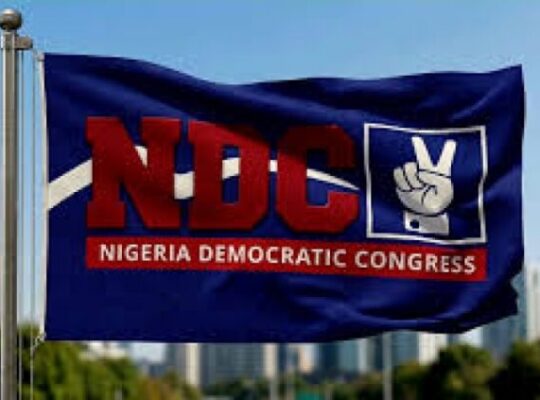 NIgerian Opposition Party Faces Court Challenge Over Primary Elections Amid Allegations Of Electoral Violations