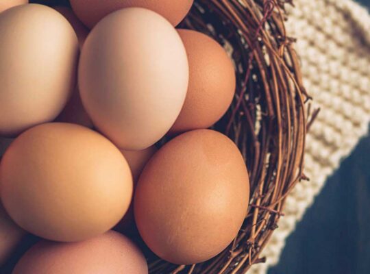 Brits Warned to Avoid Runny Eggs as Salmonella Outbreak Linked to Imported Eggs Leaves One Dead
