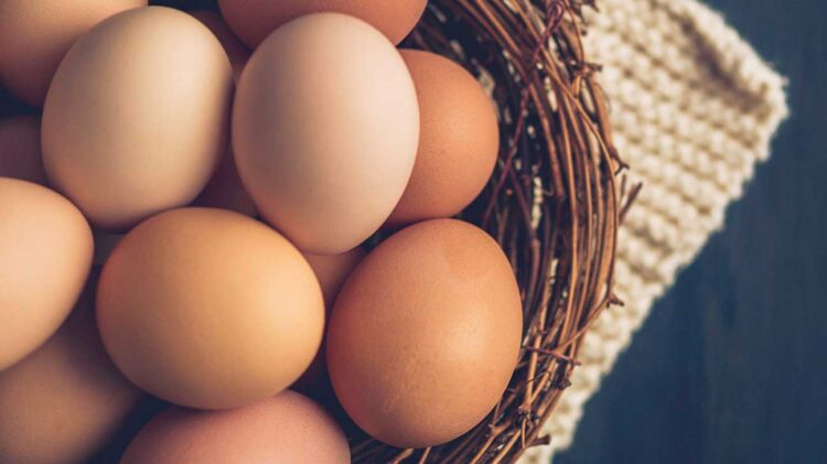 Brits Warned to Avoid Runny Eggs as Salmonella Outbreak Linked to Imported Eggs Leaves One Dead