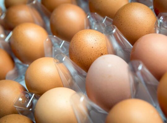 Salmona Outbreak May Be Linked To Imported Eggs Says Officials