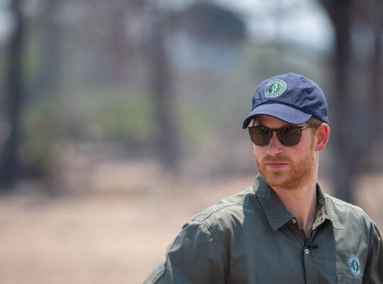 Herry Steps Down From Controversial African Wildlife Charity