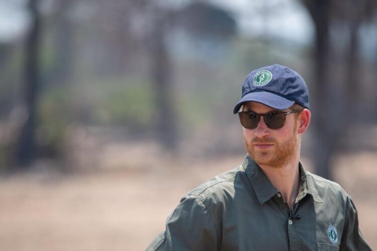 Herry Steps Down From Controversial African Wildlife Charity